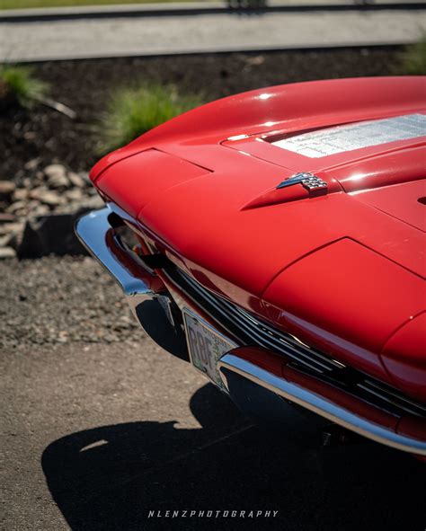 Nicole Lenz Photography