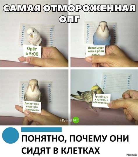 Картинка дня на Fishki.net