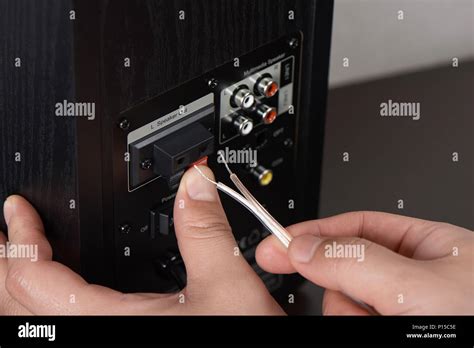 closeup of speaker output terminal on the back of bookshelf speaker ...