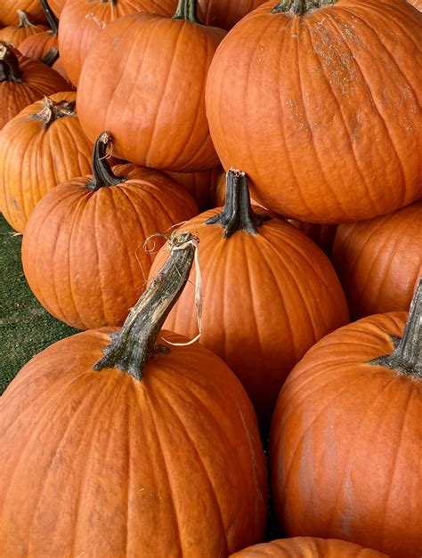 Pumpkin Tips