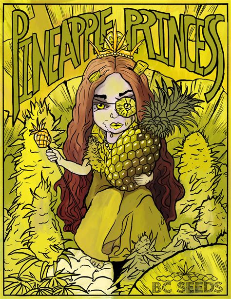 Pineapple Princess Bud by BC Seeds | Energetic Sativa High With A Great