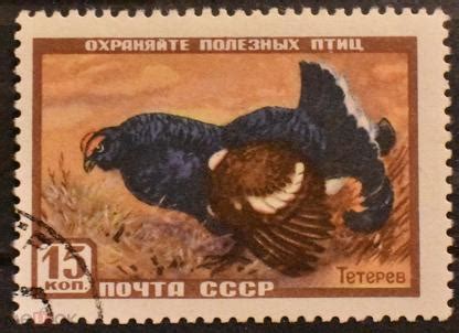 СССР. 1957 Г. ФАУНА. 15 КОП. ТЕТЕРЕВ. СОЛ. № 1987.