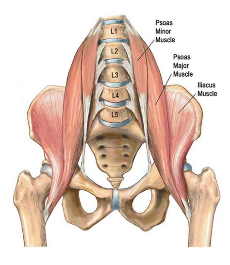 Hip Flexor Pain Causes