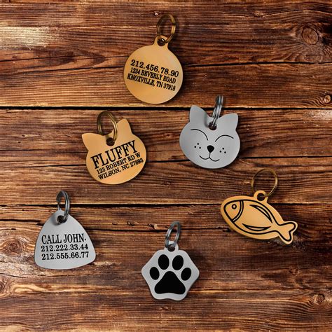 Cat Name Tag Plastic at Isla Lampungmeiua blog