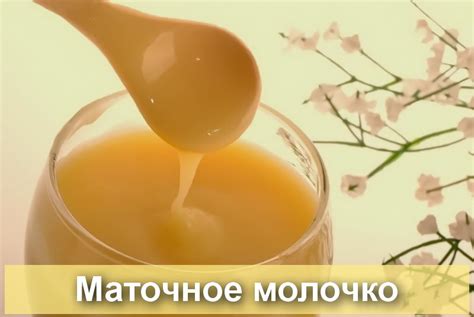 Чем полезно пчелиное маточное молочко - БиоКорова