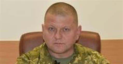 Валерий Залужный - биография, образование, семья, карьера, компромат