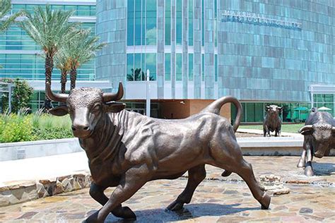 work  usf  important    legislatures benchmark