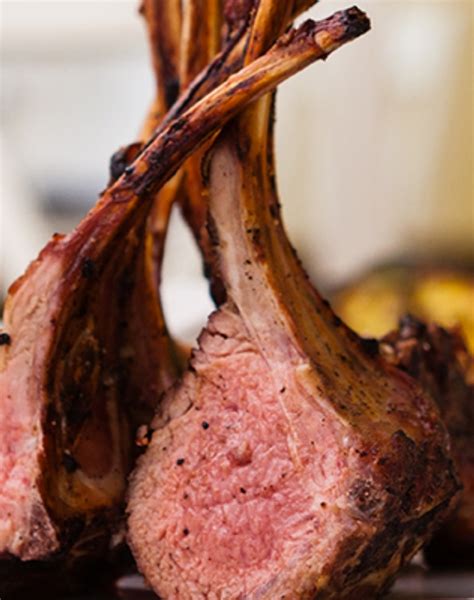 wholesale lamb lamb distributor meat distributor meats  linz