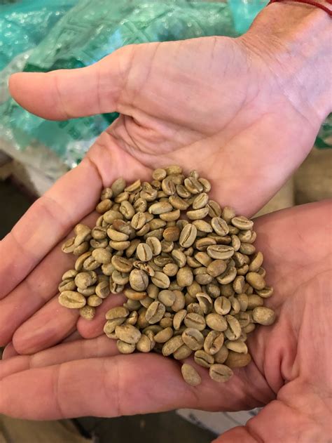 Salt Lake's Publik Coffee Has Privately Invested in More Sustainable