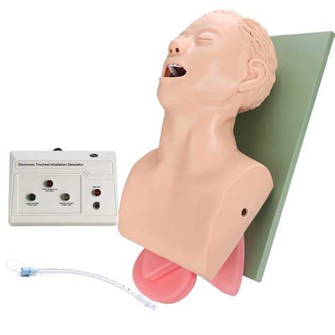 Buy faruijie Endotracheal Intubation Human Model - Tracheal Intubation