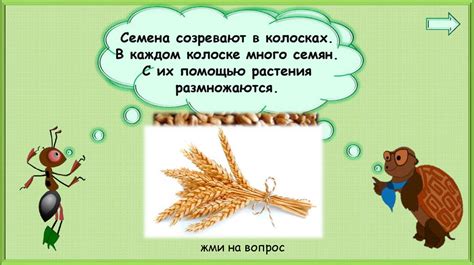 Как живут растения (урок окружающего мира, 1 класс) - презентация онлайн
