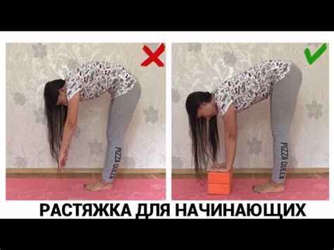 РАСТЯЖКА ДЛЯ НАЧИНАЮЩИХ|РАСТЯЖКА В ДОМАШНИХ УСЛОВИЯХ - YouTube