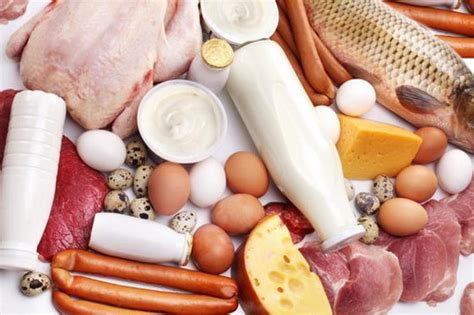 Белковая пища: можно или нельзя - foodandmood.com.ua
