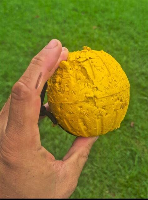 how to get your dog to drop the ball