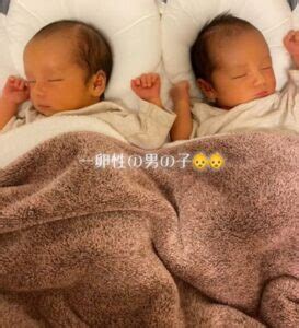 一卵性で生まれた双子の男の子 その1年後の姿に「将来イケメン」「天使が2人」「可愛すぎ」の声 – ほ・とせなNEWS