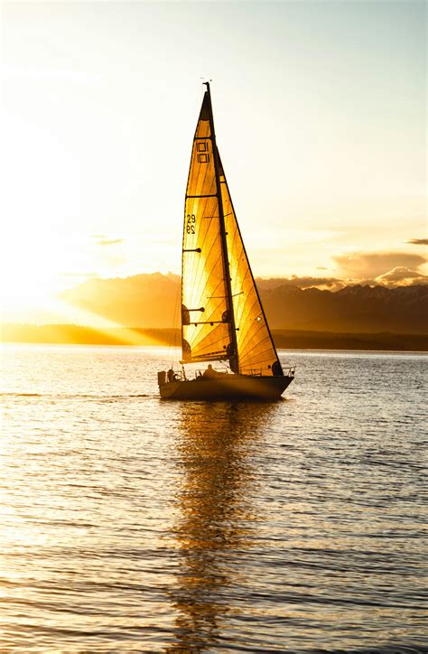 sailboat sunset silhouette