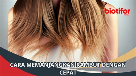 Cara Memanjangkan Rambut dengan Cepat: Tips dan Trik Efektif - Biotifor