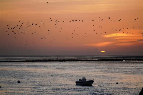 Animated Sunset Photos, Download The BEST Free Animated Sunset Stock ...