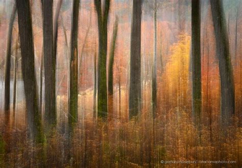 Nature photography of Chile and other locations by Gerhard Huedepohl
