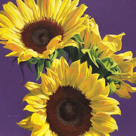Sunflowers On Purple by Nance Danforth | Floral oil paintings, Oil ...