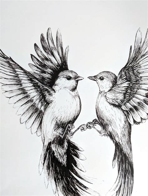Flying Birds Art Print Realistic Bird Drawing - Etsy