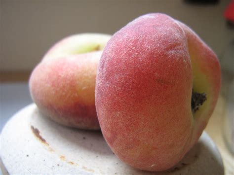 Fruta Que Parece Pessego - 5