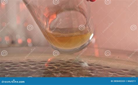 Brewer Testing Fermentation of Crafte Beer Stock Video - Video of ...