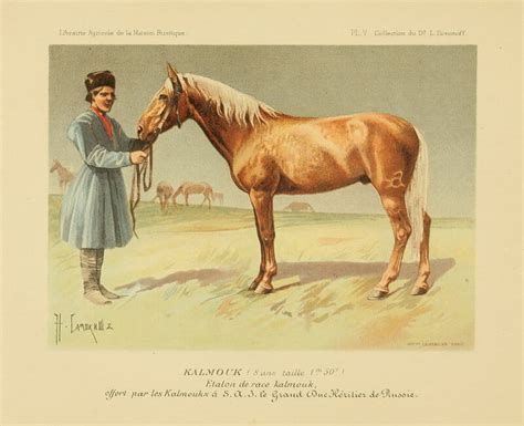 Породы лошадей в издании 1894 г. — История России до 1917 года
