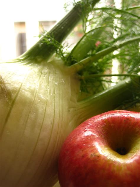 fennel + apple + gouda