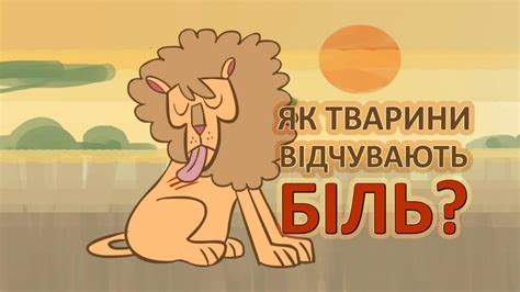 Як тварини відчувають біль – Kenguru