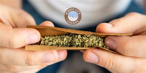 how to roll clear blunt wraps