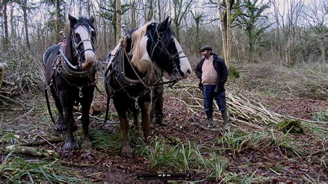prime coppice common ground