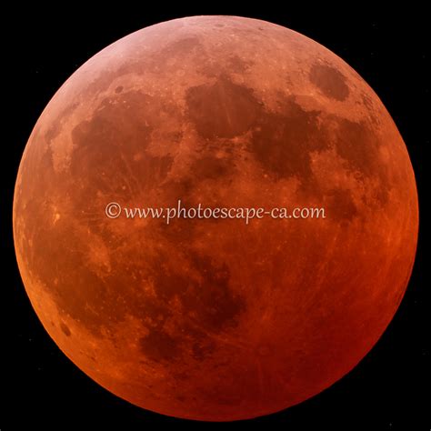 Lunar Eclipse 2019