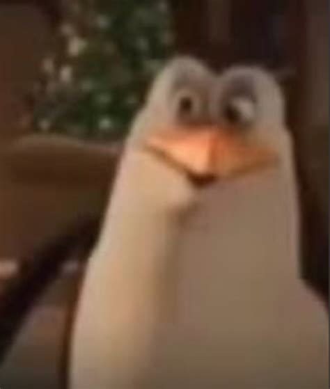 Create meme "penguin , rico , the Madagascar penguins" - Pictures ...