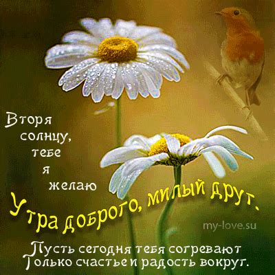 Pin by Наташенька on Летнего доброго утра | Poems, In this moment, Good ...