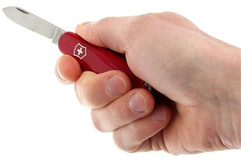 Victorinox Bantam - red | Advantageously shopping at Knivesandtools.ie