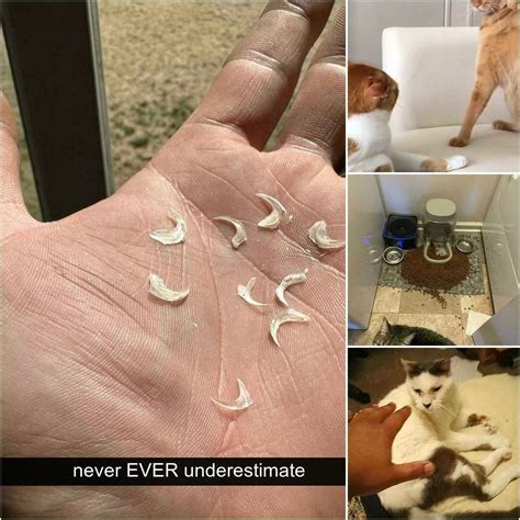 cut nails too short 4