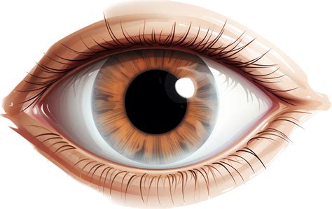 Eye with . 26771813 PNG