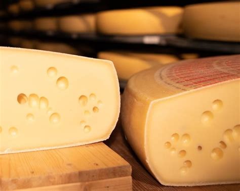 Emmentaler: The Real Swiss Cheese (Science Behind The Holes)