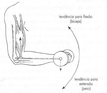 Tudo o que você precisa saber sobre torque | Praticando Fisio