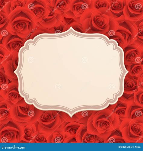 Greeting card with rose stock vector. Illustration of blossom - 24256785