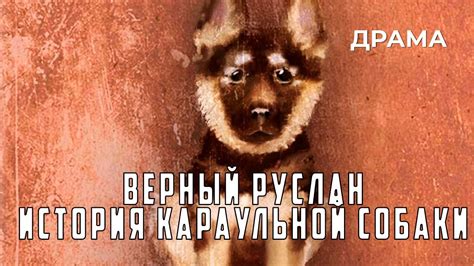 Верный Руслан История караульной собаки (1991 год) драма - YouTube