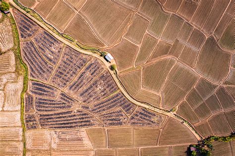 alur tanah pertanian bidang tempat lahan  mempersiapkan budidaya