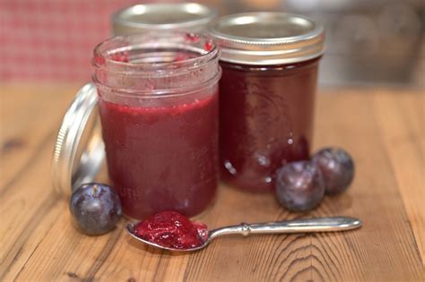 plum jelly recipe time saving trick homesteading family