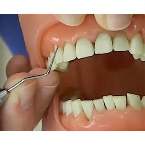 gdc explorer  william probe  expqw