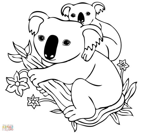 Koala Line Drawing at PaintingValley.com | Explore collection of Koala Line Drawing