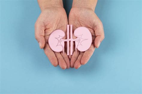 kasus gagal ginjal akut pengertian jenis  sejarahnya sejak