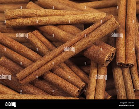 Cinnamon Bark, cinnamomum zeylanicum Stock Photo - Alamy