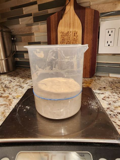 Starter Care And Feeding - Dave Is Cooking