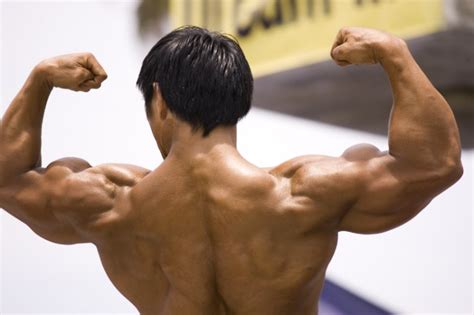 Exercise and Muscle Performance | Anatomy and Physiology I